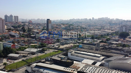Imagem 3 de 15 de Apartamento No Bairro Do Limão O Imóvel Possui 78 M², Com 2 Vaga De Garagem,rua Jacofer - Fm187553