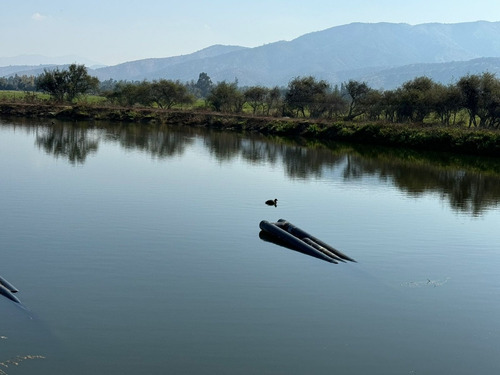 Predio Con Agua En El Mejor Sector Y Con La Mayor Plusvalía