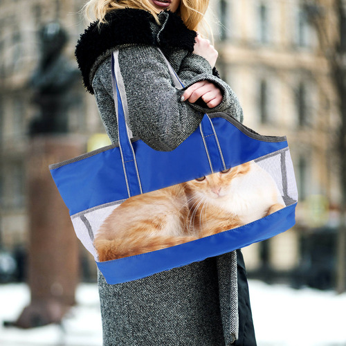 Bolsa De Transporte Para Mascotas, Bolsa Para Gatos