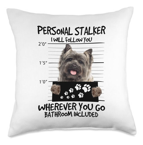 Cairn Terrier Dog Dog Breeds Dog Owners Loyal Cairn Terrier