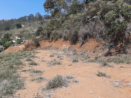 Imagem 4 de 12 de Terreno Com 1.000 M² Em Albuquerque. - Te00349 - 68718912