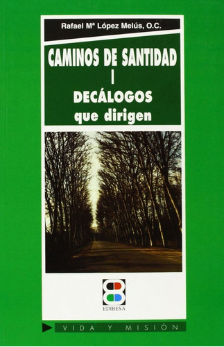 Caminos De Santidad I, De López Melús, Rafael María. Editorial Edibesa, Tapa Blanda En Español