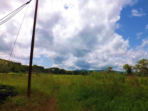 Dc224456 En Venta Hermosa Finca En Los Chaguaramos, Sabaneta Norte - Montalbán Carabobo