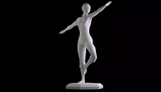 Escultura De Entrenadora De Fitness Para Nintendo Wii Fit.