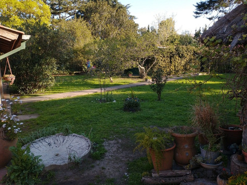 Casa Quinta En Venta En Punta Indio - 6.000 Metros Cuadrados