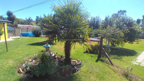 Imagen 16 de 30 de Casa Quinta En Chascomus, Oportunidad