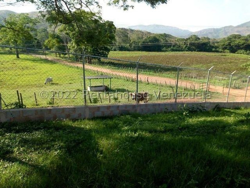 Julio Latouche 25-16896 Finca Ganadera En Venta Carabobo, 267 Hectáreas, Casa Principal De 550 Mts2, Dos Lagunas Para Riego.