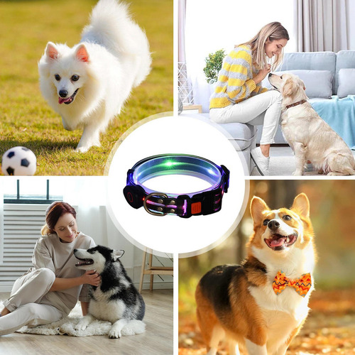 Collar Con Luz Led Para Perros Collar Con Luz Led Para Perro