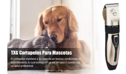 Imagen 3 de 7 de Maquina Corta Pelo Perros Cortadora Usb Accesorios Gatos