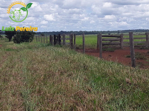 Imagem 12 de 12 de Fazenda À Venda Em Conceição Do Araguaia -pa-4.854.52 Hec. (d. Aptidão) - 2091