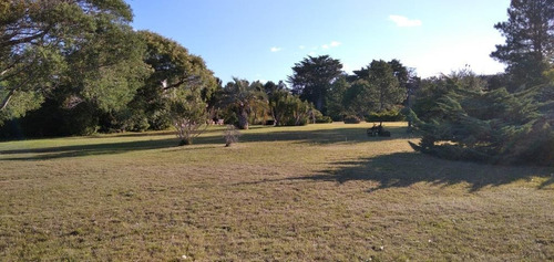 Quinta En Venta De 2 Dormitorios En Camino De Los Ceibos