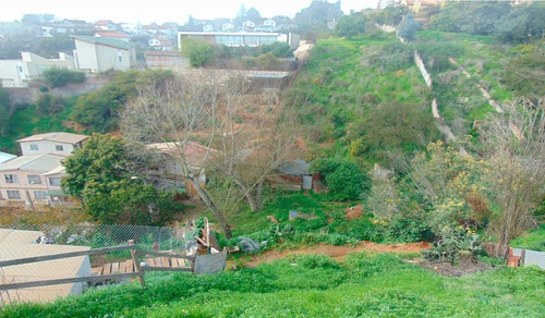 Región Valparaiso (73811)