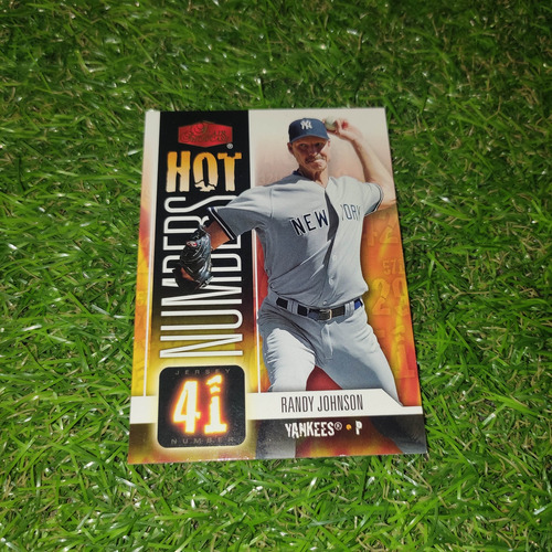 Cv Randy Johnson 2006 Flair Hot Numbers New York Yankees