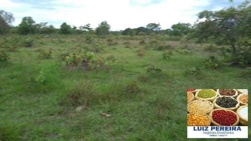 Imagem 7 de 9 de Fazenda À Venda Em Recursolândia -t0 - 3998 Hectares (dupla Aaptidão) - 1592
