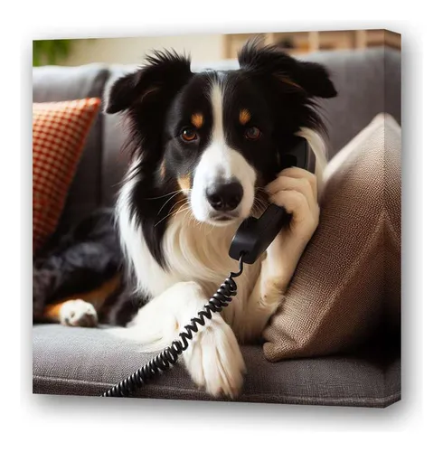 comprar Cuadro 45x45cm Border Collie Hablando Por Telefono M3