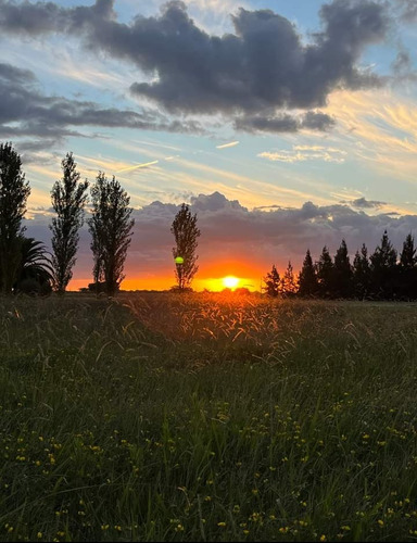 Imagen 22 de 30 de Espectacular Casa Quinta Cañuelas Hacé Tu Reserva Ahora Verano 2023!!!