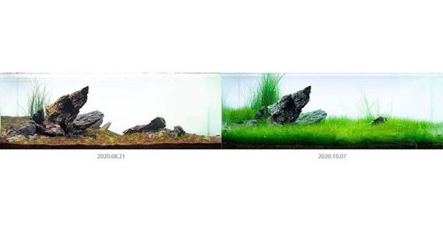 8lt Sustrato Nutritivo Neo Soil No Requiere Co2 Plants