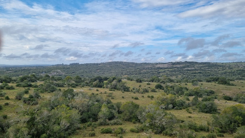 Oportunidad Chacras 5 Hectareas En Maldonado. Sierras De Aigua, Ruta 109. Con Arroyo, Cañadas, Monte Nativo.