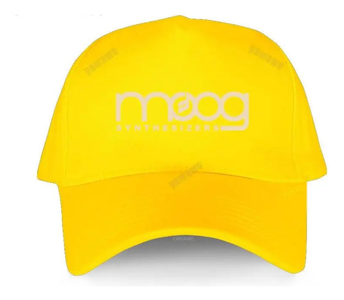 Gorro De Pesca Casual Para Niños Con Sintetizador Moog, Para