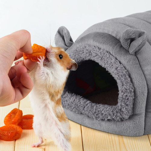 Cama Para Conejillos De Indias Ferret Bed Bunny