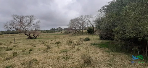 18 Has R.9, Km 80