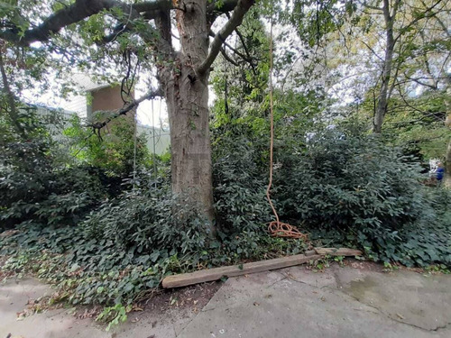 Venta Lote Barrio El Sosiego Reserva Forestal, Mar Del Platacentury 21 Recanatti Ofrece Para La V...