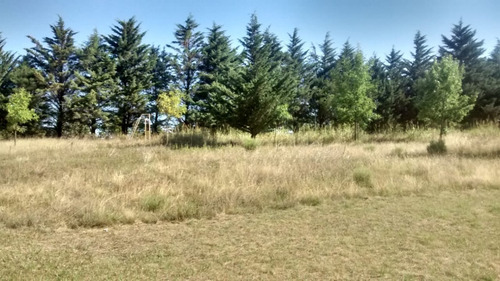 Imagen 8 de 14 de Los Reartes, Terreno Frente Al Río, Vista A Las Sierras