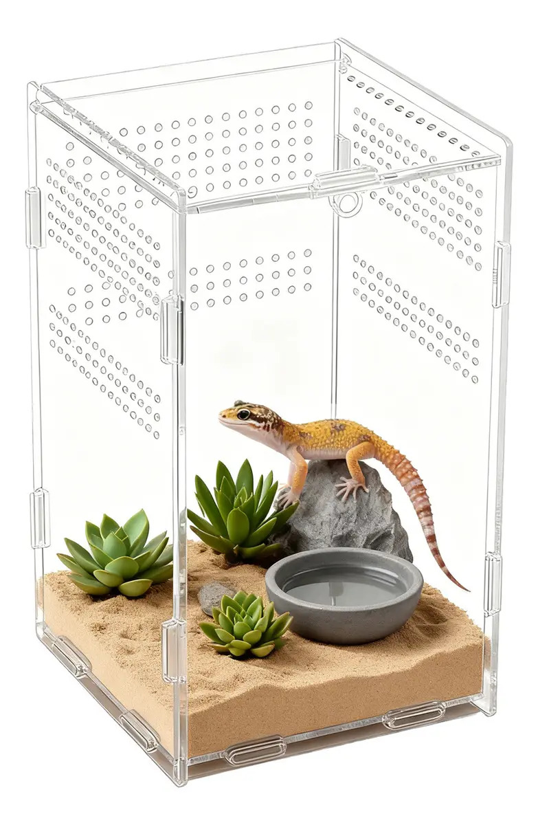 Terrario Acrílico Transparente para Reptiles y Anfibios, Micro Hábitat de 12x12x20 cm