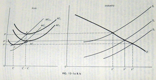 William Baumol The Theory Of Environmental Policy 