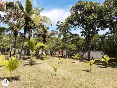Casa A Venda
