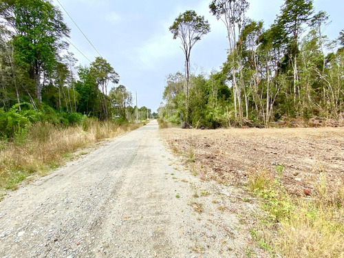 Entorno Tranquilo Y Seguro I Condominio Foresta