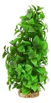 Comprar Tesoros Submarinos Ludwigia Verde Alto