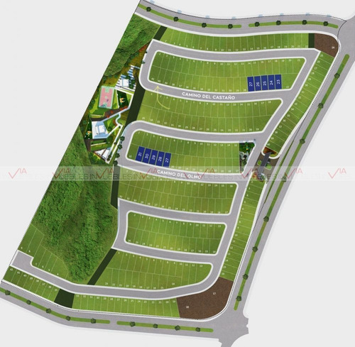 Imagen 5 de 11 de Terreno Residencial En Venta En Cumbres Elite Premier, Garcí