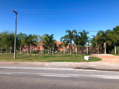 Imagen 10 de 12 de Excelente Predio De 1 Hectárea En Luján - Autopista