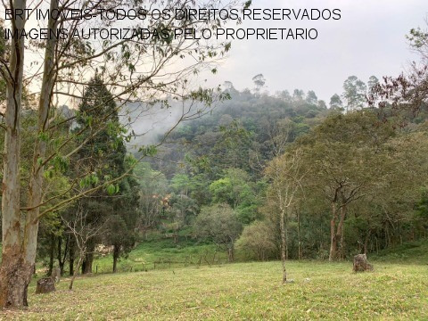 Imagem 4 de 30 de Sitio - St00005 - 34466646