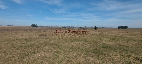Imagen 2 de 7 de Venta De Chacra 15 Has En San Carlos, Maldonado