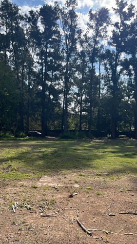 Terreno En Venta: ¡financiación Disponible! #