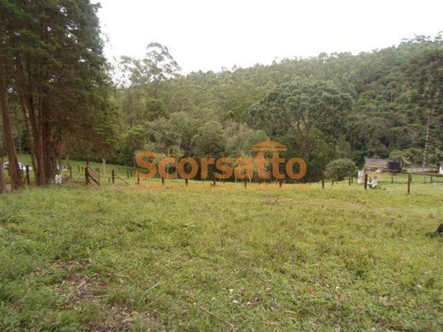 Imagem 10 de 12 de Área À Venda, Potuverá, Itapecerica Da Serra/sp - 4179