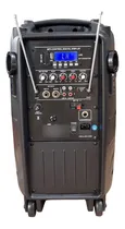 Comprar Bafle Parlante Portatil 10pul  Pro Mp3 2 Microfono Bateria