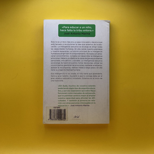 La Inteligencia Ejecutiva
