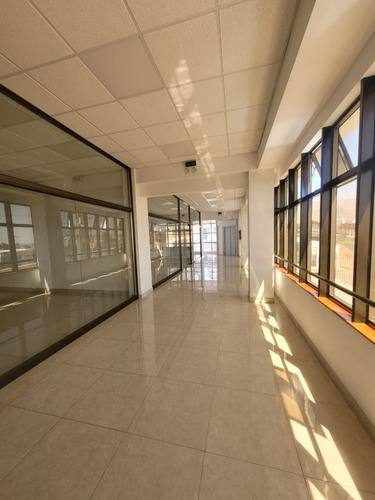 Local Comercial En Arriendo, Piso 2, En Av. Francisco Bilbao