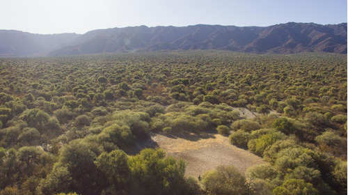 Imagen 4 de 18 de Campo - La Aguadita