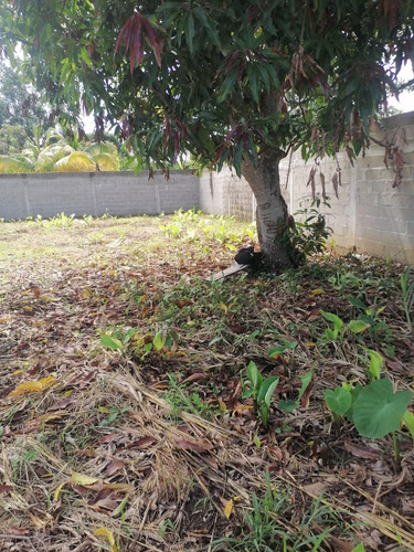 Terreno En Venta Bardeado En Paso Y Playa, Cardenas Tabasco