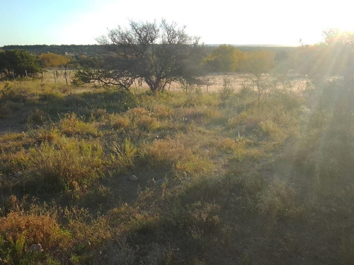 Imagen 23 de 28 de T056pa Amplios Terrenos De 1.350 M2 En Panaholma, A 300 Mts Del Río