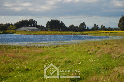 Campo 964 Ha. Con Uva, Forestal Y Forraje