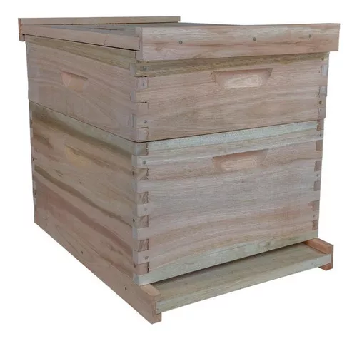 Primeira imagem para pesquisa de caixa de abelha