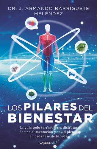 Los pilares del bienestar, de Barriguete, Jorge Armando. Serie Vital Editorial Plan B, tapa blanda en español, 2020