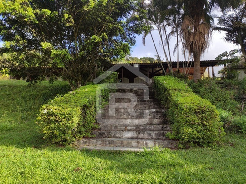 Imagem 14 de 30 de Excelente Sitio Com Topografia Plana, Rico Em Aguá - 12 - 69839868