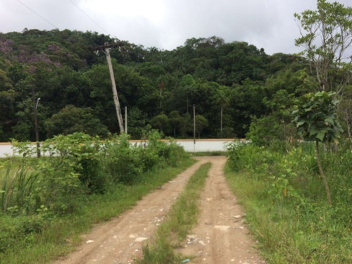 Chácara Em Itanhaém - 6035 - 68470348