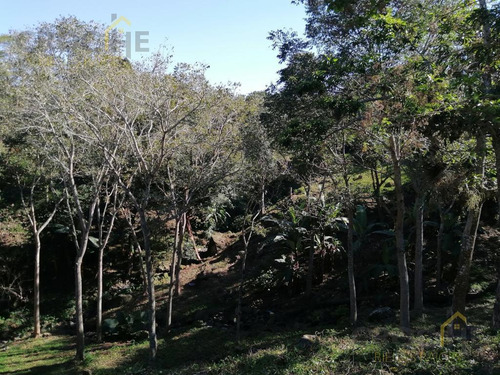 Se Vende Terreno En La Concepción Veracruz